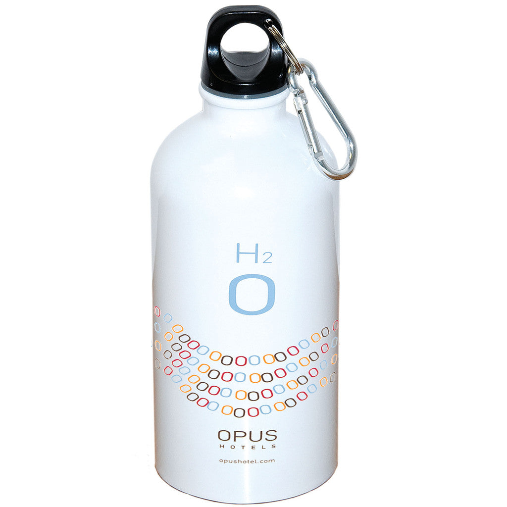 Stainless Steel Bottle With Carabiner