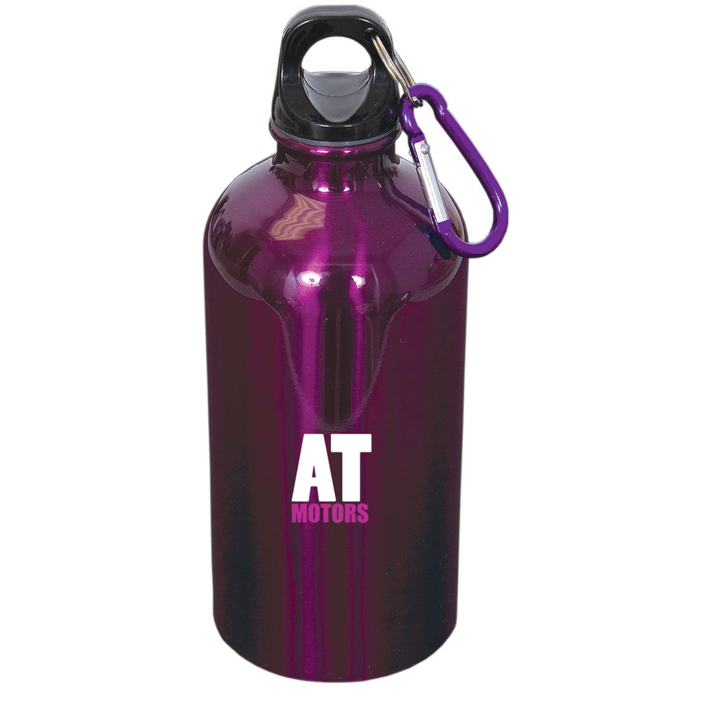 Stainless Steel Bottle With Carabiner