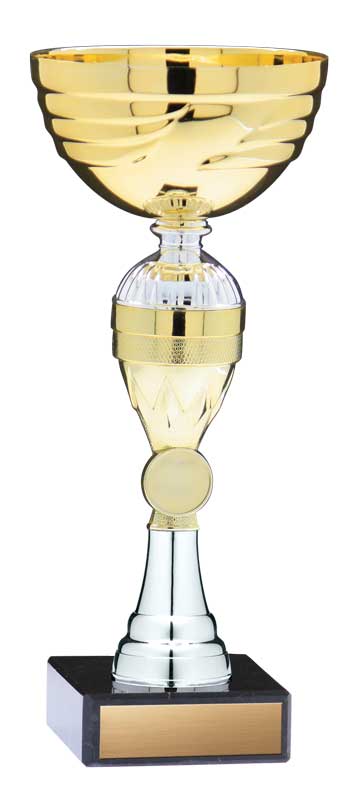 Economy Cup, Gold/Silver