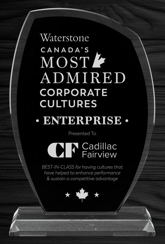 Black Mountain 8½” Glass Awards