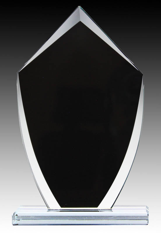 Onyx Series Shield Clear/Black Glass