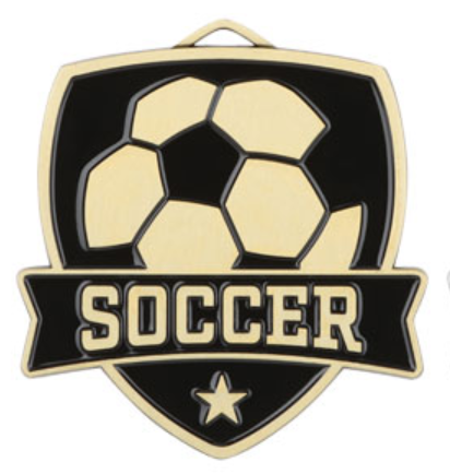 SCULPTURED VARSITY MEDAL