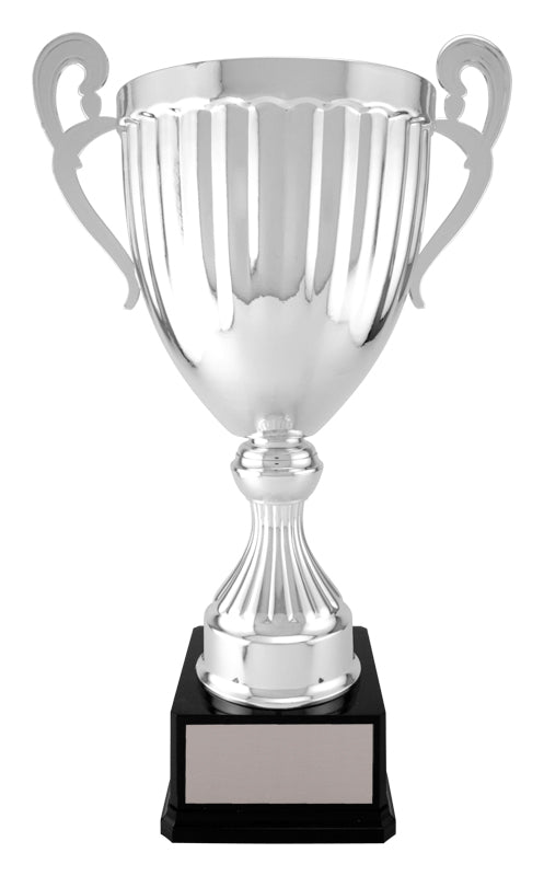 Silver Wakefield Metal Cup