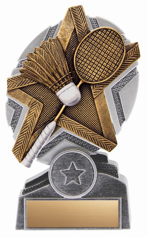 ProStar Series Badminton Award