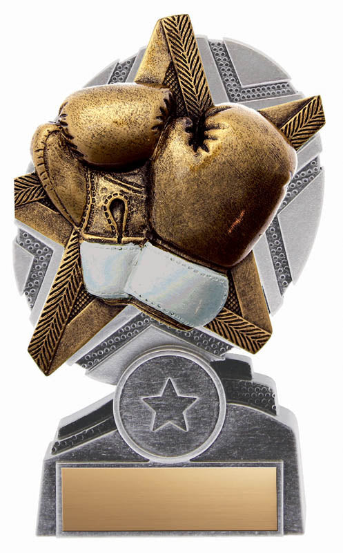 ProStar Boxing, Resin Trophy