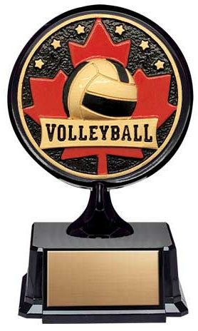 Patriot Series Volleyball Trophy 4½"