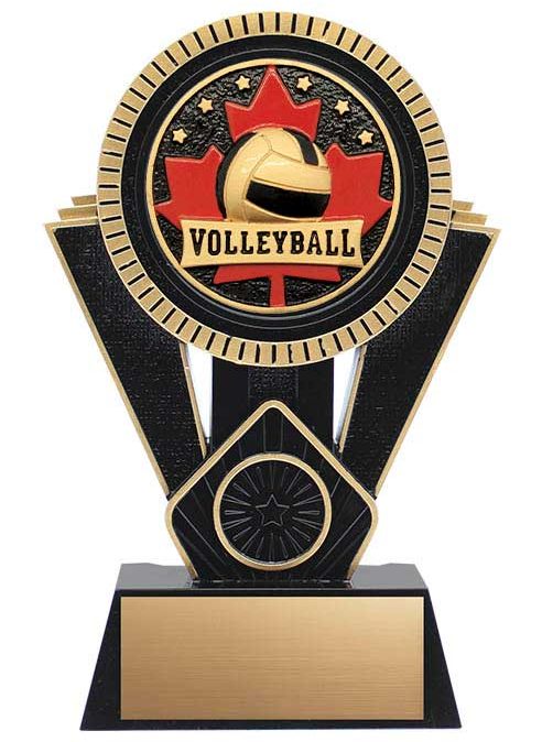 Patriot Series Volleyball Trophy
