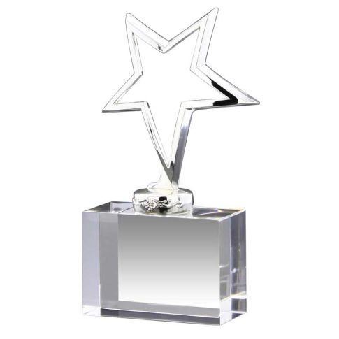 Polished Silver Star Award