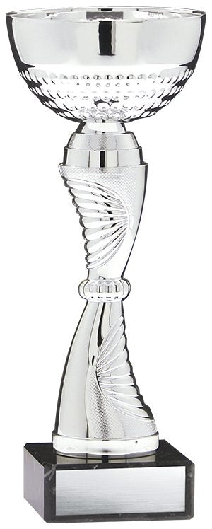 Economy Cup Silver