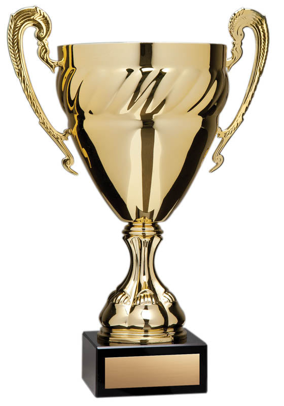 Economy Cup Large, Gold w Braided Band