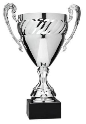 Economy Cup Large, Silver w Braided Band