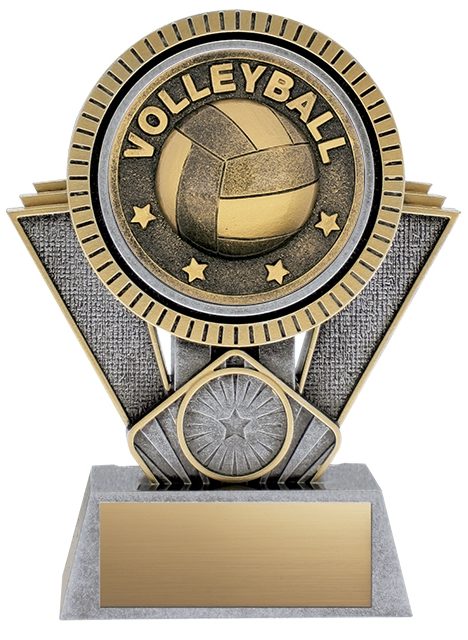Apex Volleyball Antique Silver/Gold