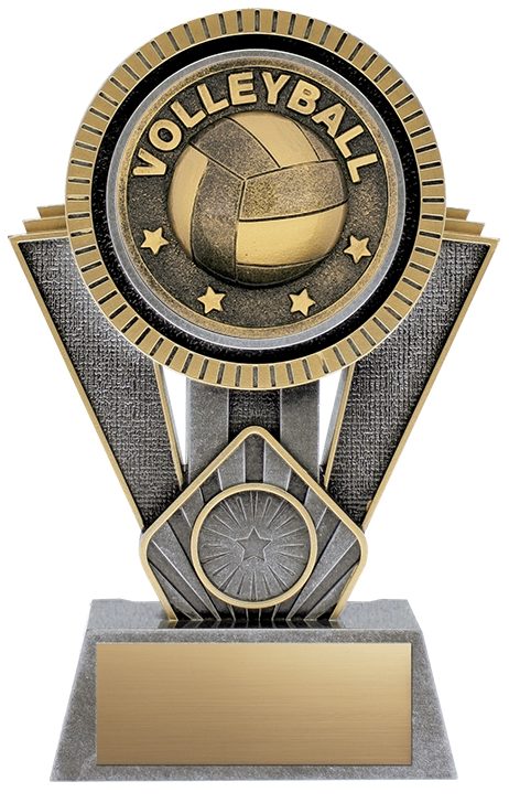Apex Volleyball Antique Silver/Gold
