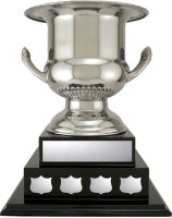 13"  Stainless Wine Cooler Trophy