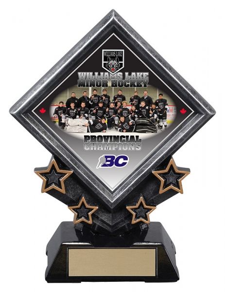 DIAMOND STAR AWARD