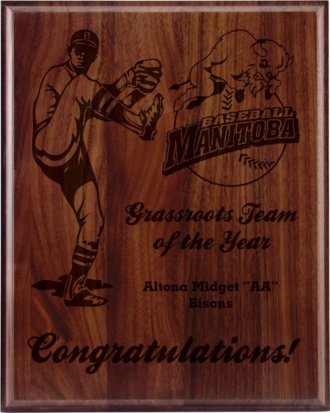 Top Traditional Bevel Plaque | Custom Wall Award