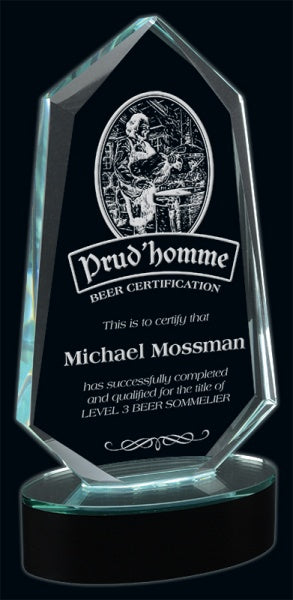 9¼" Freedom Crystal Award online