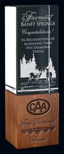 Order 7" Inspire Award | Premium Crystal Trophies