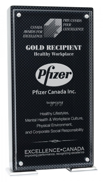 Vista Carbon Fiber Standing Plaque | Plaque Award Canada
