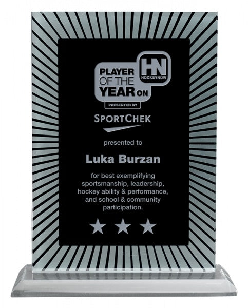 Custom Discovery Black & Frosted Glass Trophy Awards Online