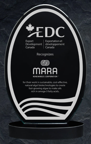 Buy Zeppelin Black Glass Award | Custom Glass Trophies Canada