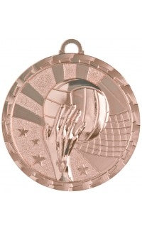 Volleyball Brite Medal