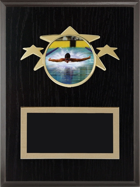 The 2" Generic Insert Plaque | Custom Wall Award Canada