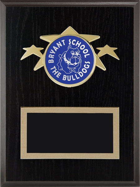 Buy Engraved 2"" Generic Insert Plaque Online | Wood Plaque Award