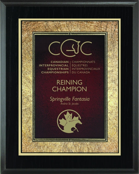 Red Art Plaque | Custom Engraved Trophy & Wall Plaques