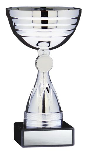 Economy Cup, Silver