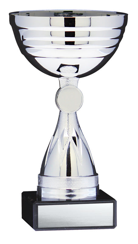 Economy Cup, Silver