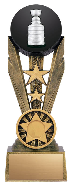 Zenith Series Hockey, Resin Award