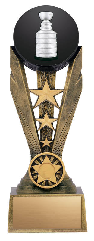 Zenith Series Hockey, Resin Award