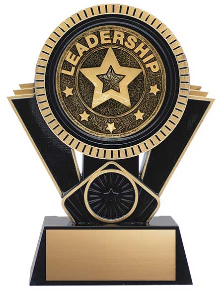 Apex Leadership Award, Black and Gold