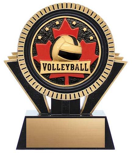 Patriot Series Volleyball Trophy