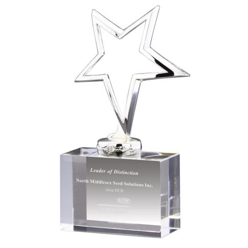 Polished Silver Star Award