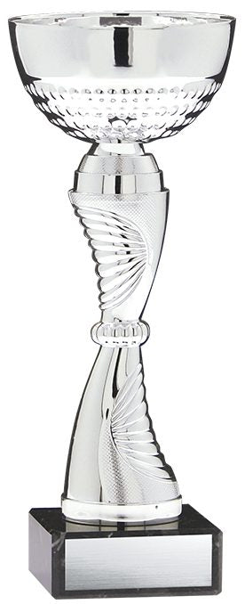 Economy Cup Silver
