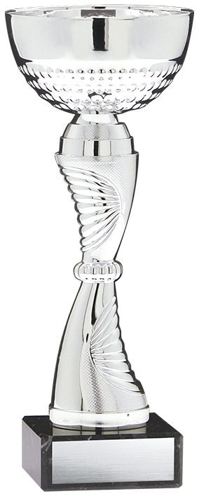 Economy Cup Silver