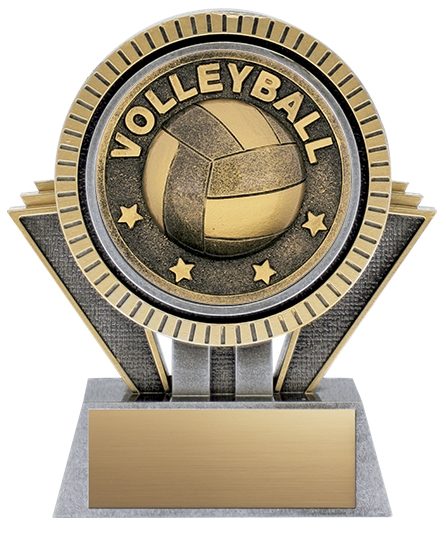 Apex Volleyball Antique Silver/Gold