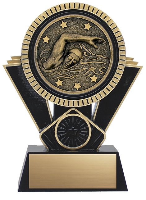 Apex Swimming Black/Gold