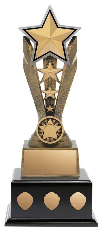 Star Zenith Resin on Black Wood Base
